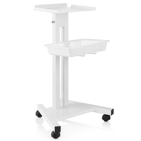 Rolling Equipment Cart